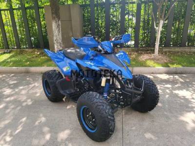 Квадроцикл Мотомир ATV SPORTY 250 синий (машинокомплект) Квадроцикл Мотомир ATV SPORTY 250 синий (машинокомплект)