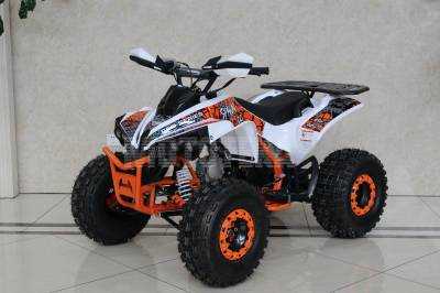 Квадроцикл подростковый Promax (Промакс) SPAWN 180 (машинокомплект)