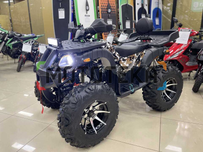 Квадроцикл Promax (Промакс) 320 DOMINATOR (машинокомплект)