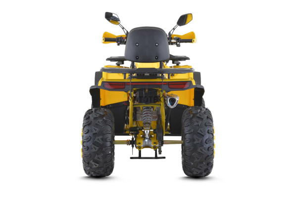 Квадроцикл FXMOTO (ФХМото) WASP 200 LUX жёлтый (машинокомплект) | Мототека