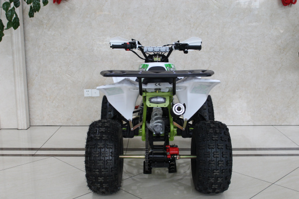 Квадроцикл подростковый Promax (Промакс) SCORPION 180 (машинокомплект) | Мототека