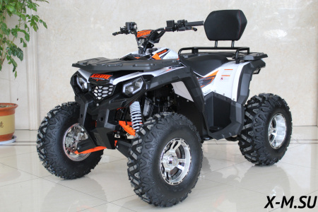 Квадроцикл GBM STORMRIDER 320 PREMIUM (машинокомплект) - купить с доставкой, цены в интернет-магазине Мототека