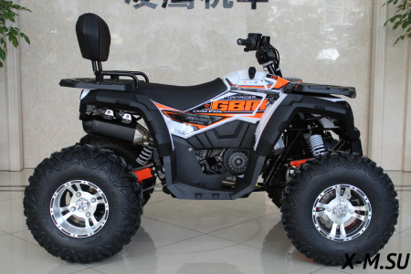 Квадроцикл GBM STORMRIDER 320 PREMIUM (машинокомплект) - купить с доставкой, цены в интернет-магазине Мототека