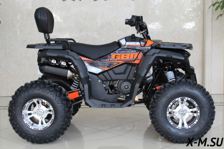 Квадроцикл GBM STORMRIDER 320 PREMIUM (машинокомплект) - купить с доставкой, цены в интернет-магазине Мототека