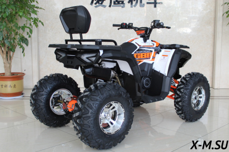 Квадроцикл GBM STORMRIDER 320 PREMIUM (машинокомплект) - купить с доставкой, цены в интернет-магазине Мототека
